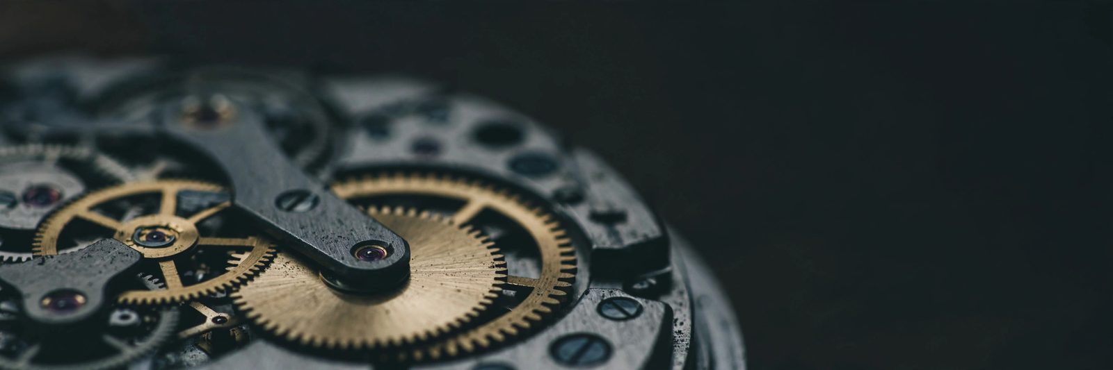 Dial & Crown: horology editorial image