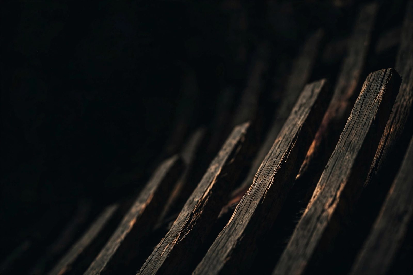 Wine & Vintage: fine wine and collecting editorial image